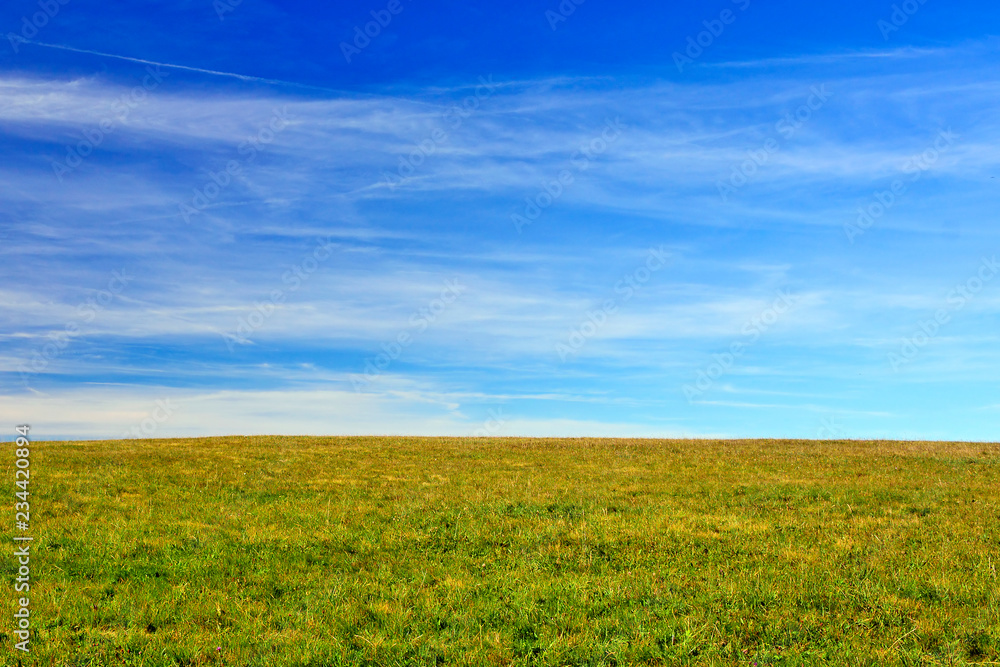 Obraz premium Autumn grass and blue sky with white clouds