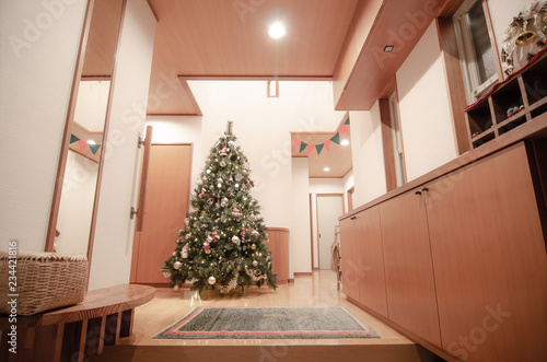 広い玄関に大きなクリスマスツリー