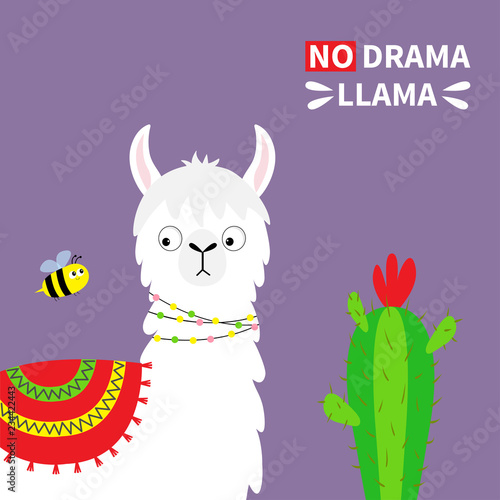 Llama alpaca face, bee, cactus. No drama. Childish baby collection. Cute cartoon funny kawaii character. T-shirt, greeting card, poster template print. Flat design. Violet background.