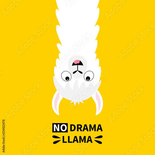 Llama alpaca face hanging upside down. No drama. Cute cartoon funny kawaii smiling character. Childish baby collection. T-shirt, greeting card, poster template print. Flat design. Yellow background.