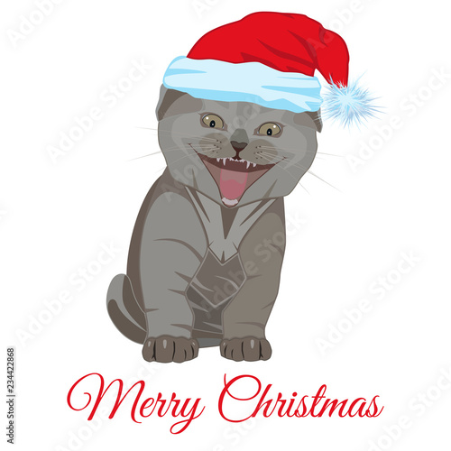 Cool funny little kitten in Santa hat vector flat illustration
