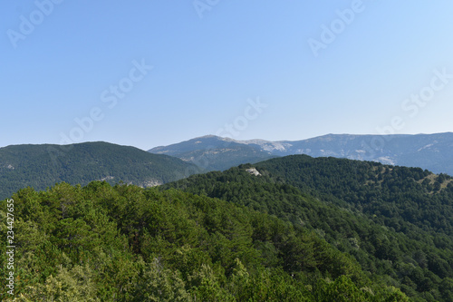 mountains forests and sky