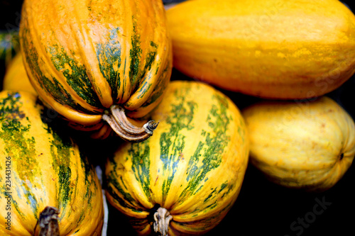 Pumpkin harvested in the fall