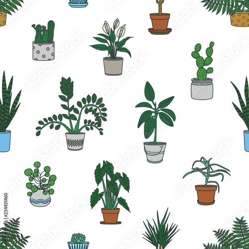 Seamless pattern with houseplants growing in planters on white background