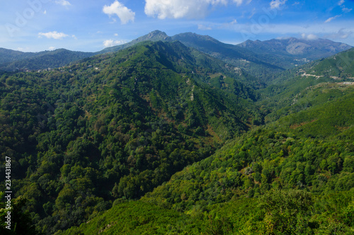 Alesani River