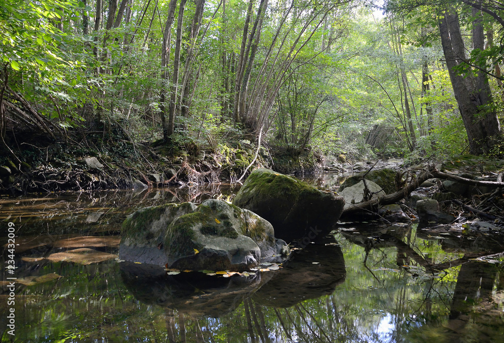 Tuscany, Italy, October 2018, stream bed in the Tuscan mountains Tuscany, Italy, October 2018, stream bed in the Tuscan mountains