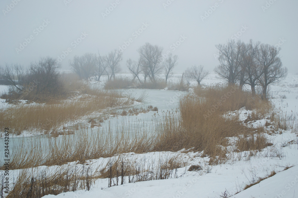Winter landscape of foggy and frozen river with trees in the morning, from above view