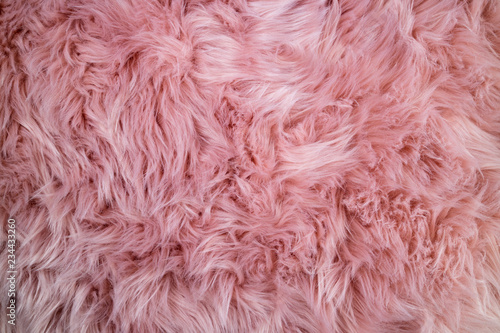 Pink sheepskin background. Fur pattern. Wool texture. Sheep fur close up