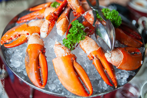 Simple yet delicious. Claws of fresh and tasty bright red poached Maine Lobster or American lobster seafood on ice. Contain cholesterol, but low in saturated fat and also have omega-3 fatty acid.