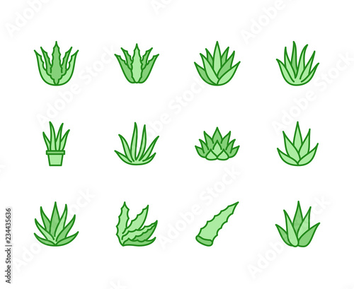 Aloe vera flat line icons. Succulent, tropical plant vector illustrations, thin signs for organic food, cosmetic. Pixel perfect 64x64. Editable Strokes.