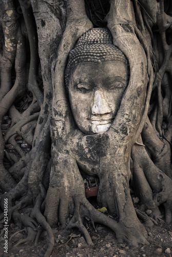 The head Buddha in the root of tree at Wat Mahathat ,ayutthaya historical park , Thailand.