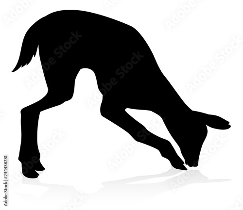 High quality animal silhoue...