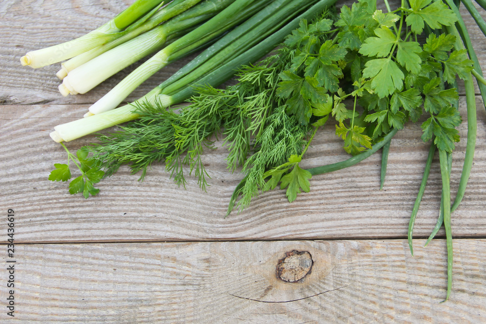 Fresh green onion, parsley and dill on rustic wooden table Fresh green onion, parsley and dill on rustic wooden table