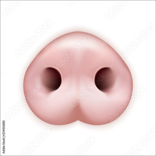 Cute funny pig face for 2019 Chinese New Year. Greeting card and calendar design. Vector illustration.