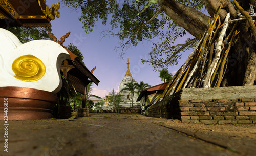 Wat Chang Kam (Kan Thom), Wiang Kum Kam, Chiang Mai, Thailand. photo