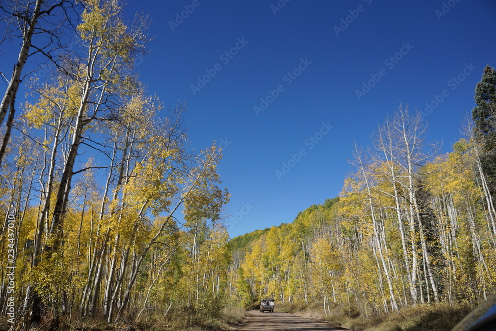 Fototapeta premium autumn in the mountains
