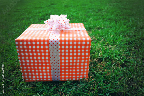 Red Gift box on the green lawn for Christmas, new year, valentine day or anniversary day and have copy space.