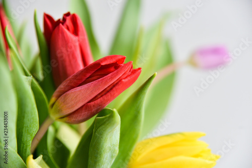 Fototapeta Naklejka Na Ścianę i Meble -  Floral background: bouquet of multicolored tulips in a glass vase on a light background, blank, mocap for mother's day greetings, international women's day