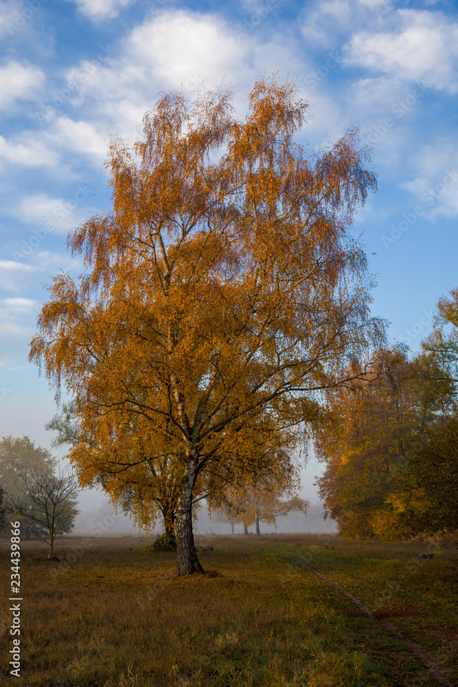 Goldener Oktober Goldener Oktober