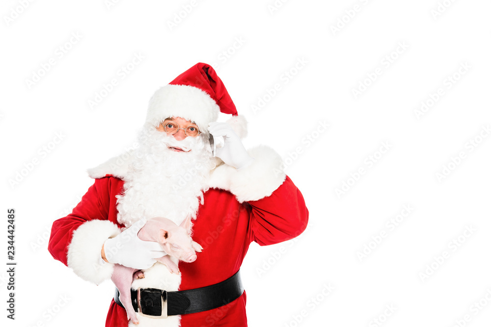santa claus holding little pig in hand and looking up isolated on white santa claus holding little pig in hand and looking up isolated on white
