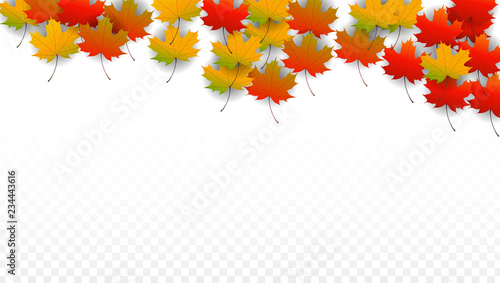 September Vector Background with Golden Falling Leaves. Autumn Illustration with Maple Red, Orange, Yellow Foliage. Isolated Leaf on Transparent Background. Bright Swirl. Suitable for Posters.