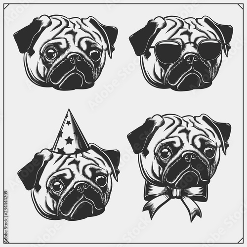 Cute Pug dog portrait with Holiday Attributes. Print design for t-shirts. Template for Pets Shop design.