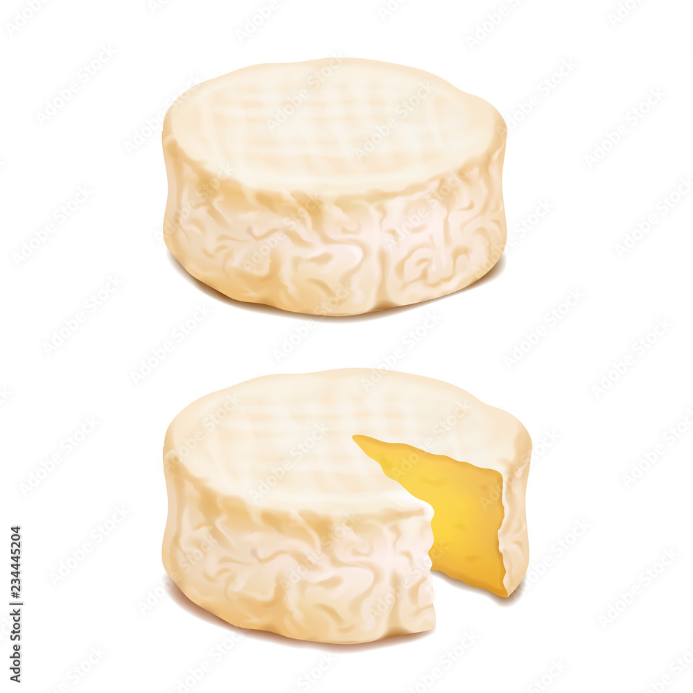 Camembert or brie cheese block. Realistic vector icon illustration - obrazy, fototapety, plakaty 