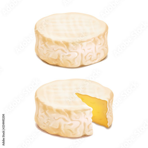 Camembert or brie cheese block. Realistic vector icon illustration photo