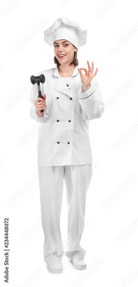 Young female chef on white background Young female chef on white background