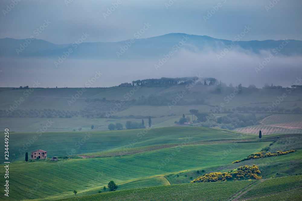 Tuscany landscape in the fog. Morning fog over the rolling hills of Montepulciano, Tuscany, Italy