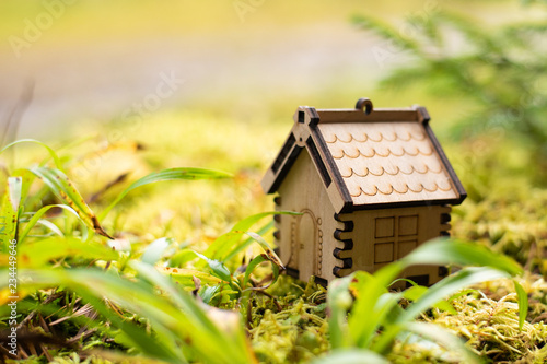Wooden house model in the forest. concept © plysuikvv