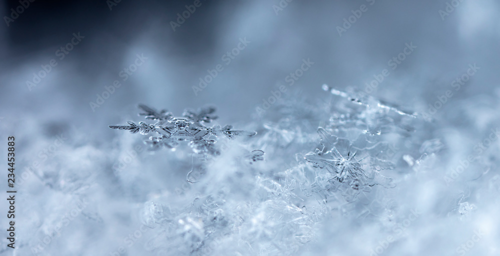 snowflake on snow, snow snowflake on snow, snow