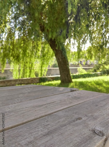 Table de jardin