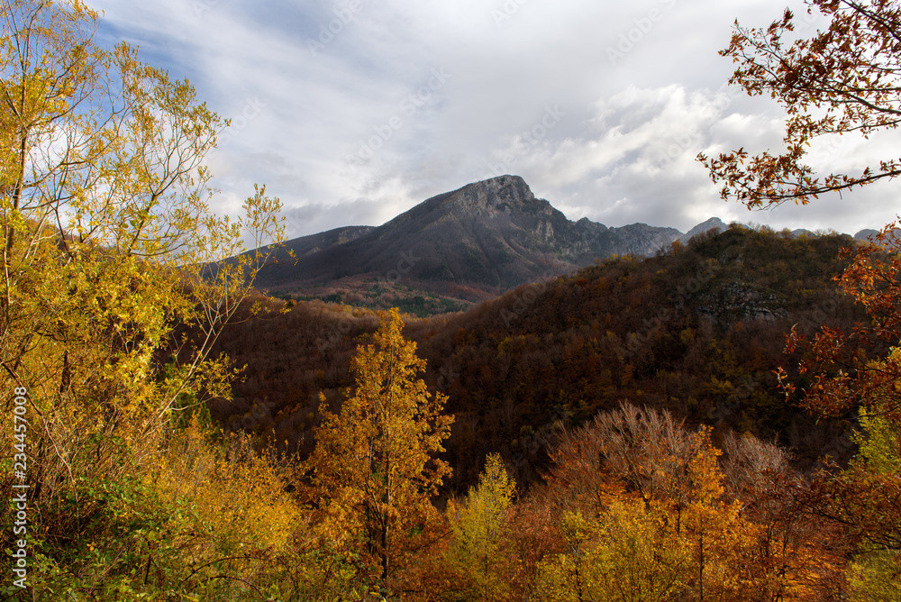 Autumnal landscape of Abruzzo National Park Autumnal landscape of Abruzzo National Park