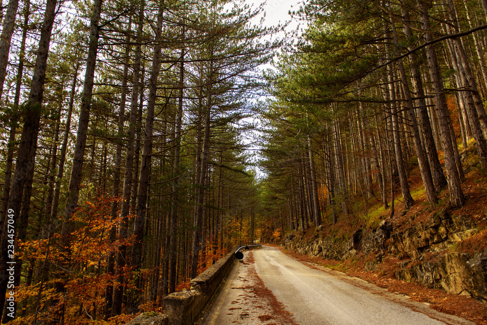 Obraz premium Autumnal landscape of Abruzzo National Park
