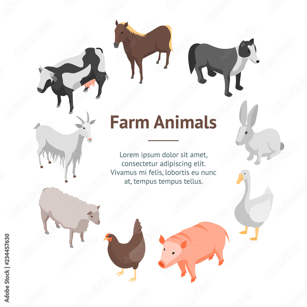 Farm Animals 3d Banner Card Circle Isometric View. Vector