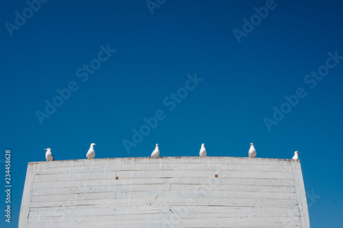 roof and sky