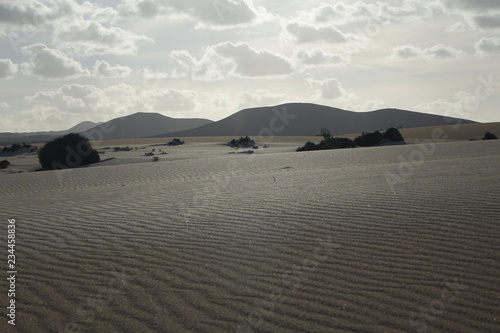 Low sun late afternoon  in the natural park Corralejo Fuerteventura Canary-Islands Spain.