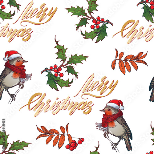 Christmas seamless pattern. Robin bird in a red christmas hat and skarf. Holly leaves and berries. Handwritten sign. Vector drawing isolated on white background. EPS10 vector illustration