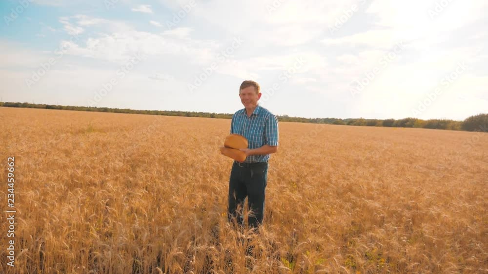 old farmer lifestyle man baker holds a golden bread and loaf in wheat field against the blue sky. slow motion video. successful agriculturist in field of wheat. harvest time. baker bread baking old farmer lifestyle man baker holds a golden bread and loaf in wheat field against the blue sky. slow motion video. successful agriculturist in field of wheat. harvest time. baker bread baking