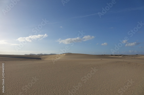 Low sun late afternoon, in the natural park,Corralejo,Fuerteventura,Canary-Islands,Spain.