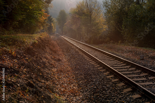 Railroad tracks running in the middle of a forest at sunset in autumn