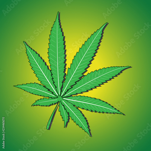 Marijuana leaf Vector illustration.