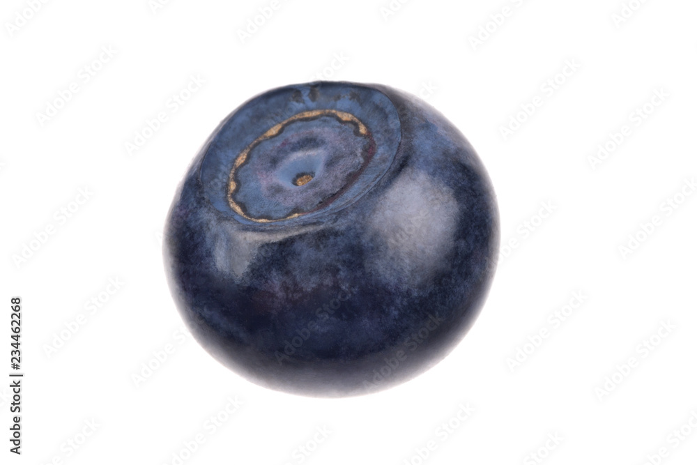 Single blueberry on white background Single blueberry on white background