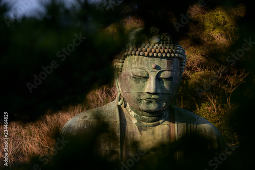 Buddha photo