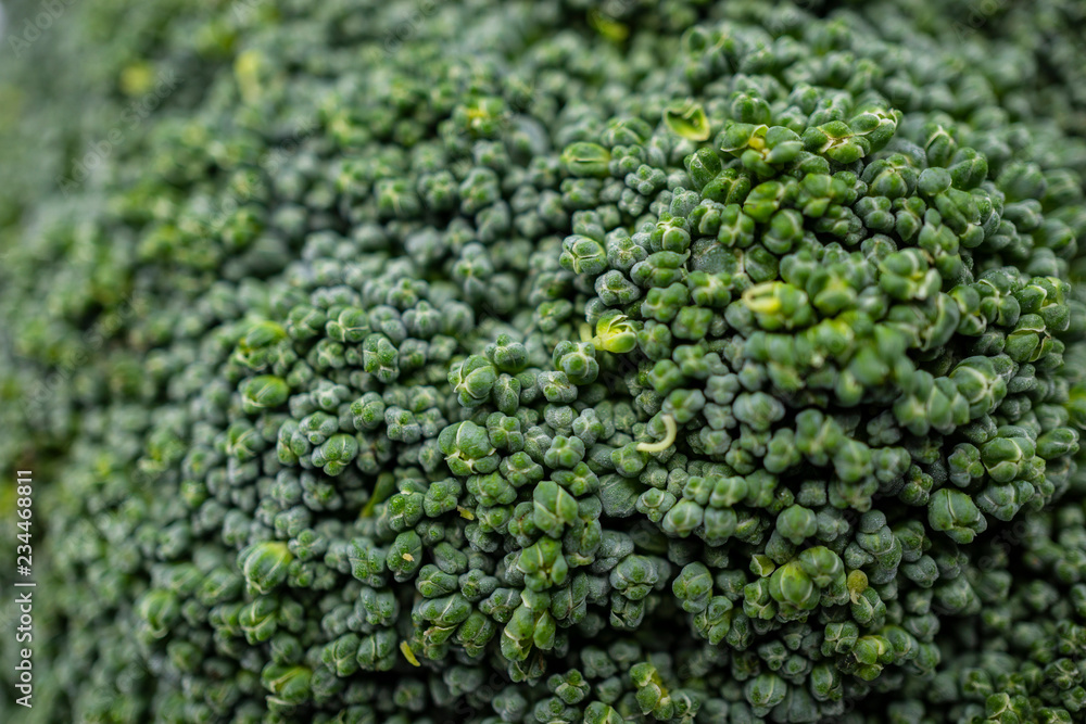 Macro shot of broccoli.