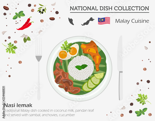 Malayan Cuisine. Asian national dish collection. Nasi lemak  isolated on white, infograpic.