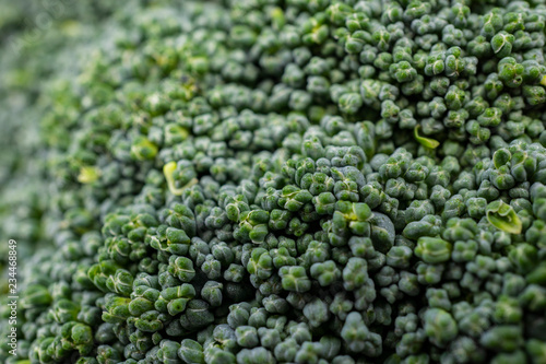 Macro shot of broccoli.