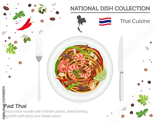 Thai Cuisine. Asian national dish collection. Pad thai  isolated on white, infograpic
