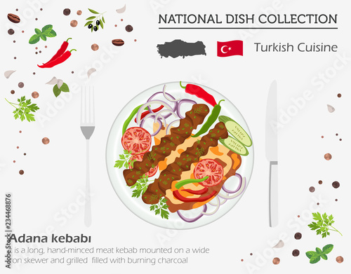 Turkish Cuisine. Middle East national dish collection.  Adana kebabi isolated on white, infograpic
